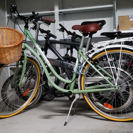 Dandelion Apartment Rovinj-Free Bikes Zewnętrze zdjęcie