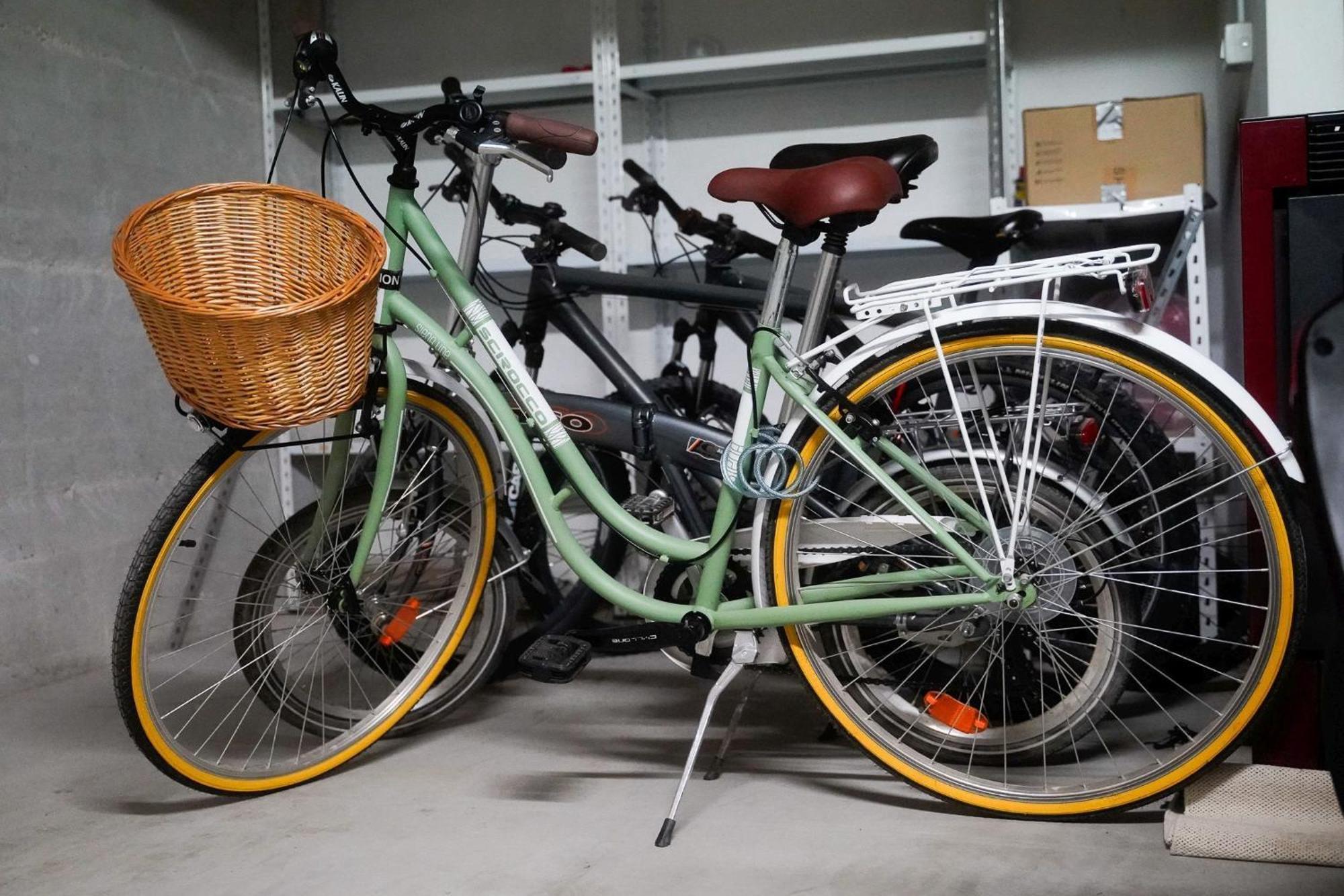 Dandelion Apartment Rovinj-Free Bikes Zewnętrze zdjęcie