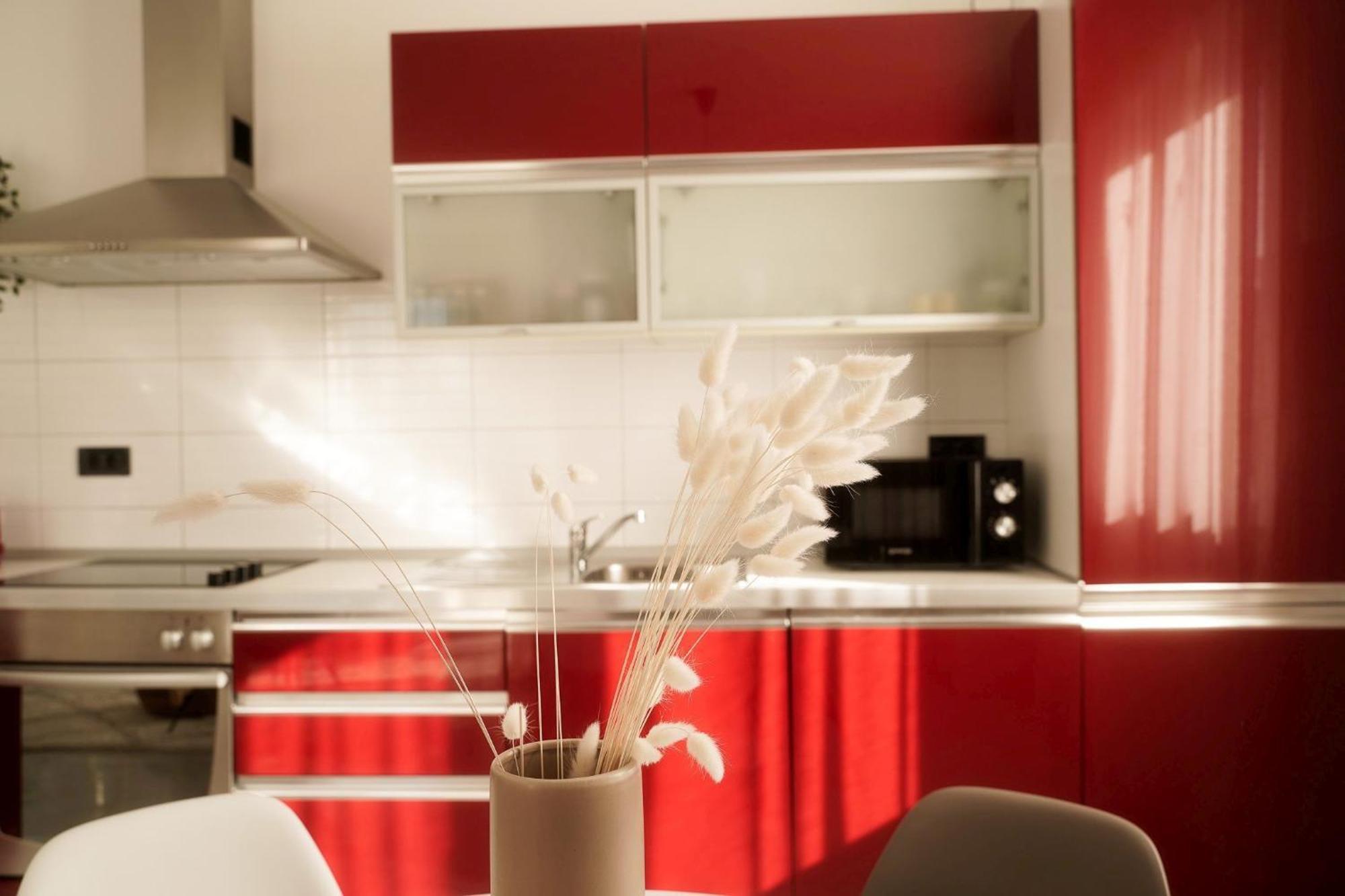 Dandelion Apartment Rovinj-Free Bikes Zewnętrze zdjęcie