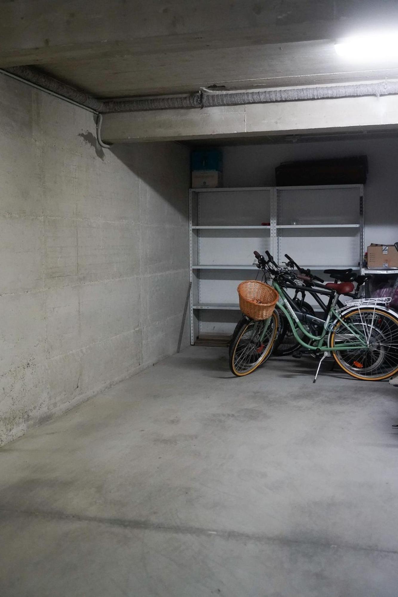 Dandelion Apartment Rovinj-Free Bikes Zewnętrze zdjęcie