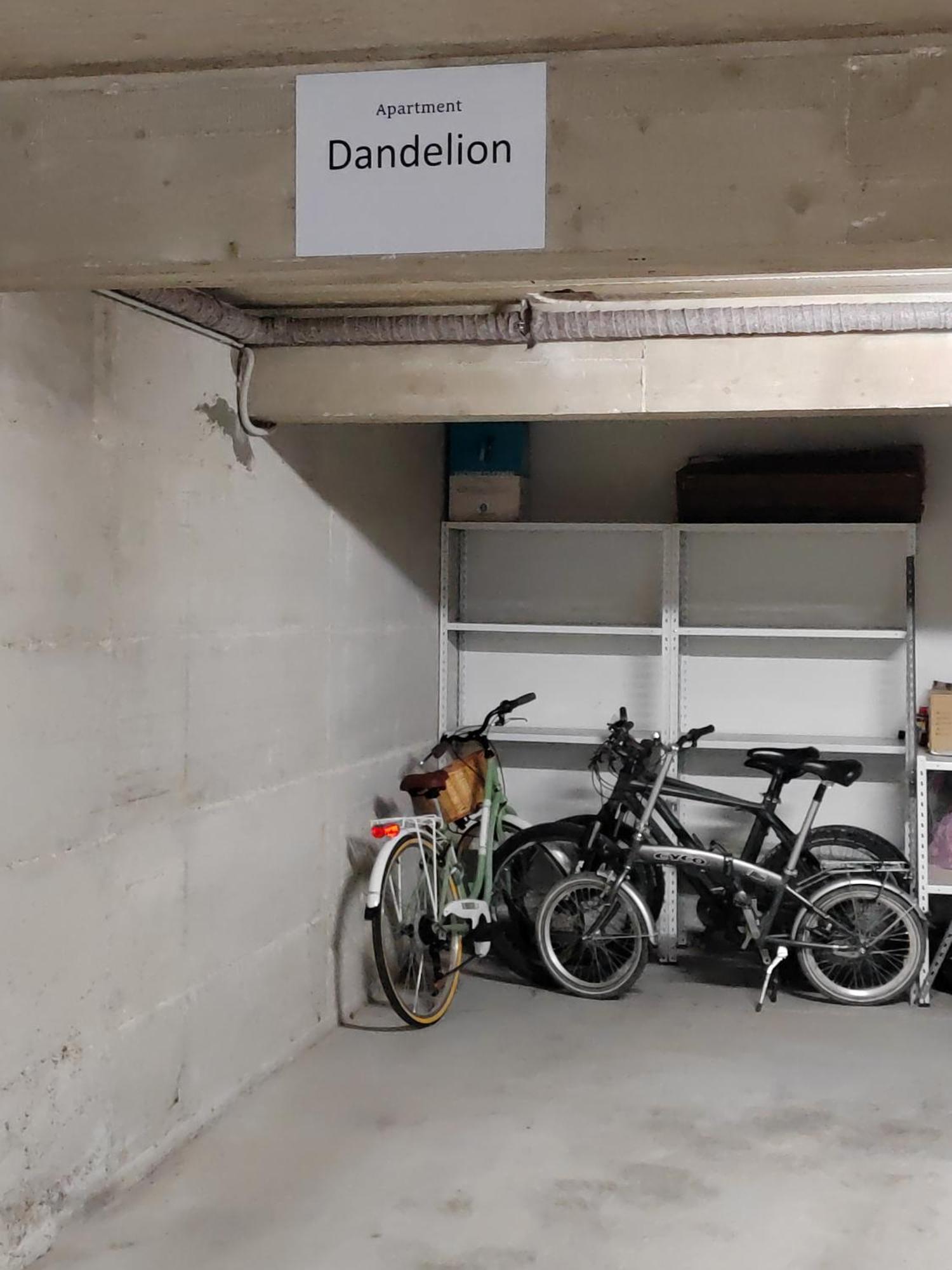 Dandelion Apartment Rovinj-Free Bikes Zewnętrze zdjęcie